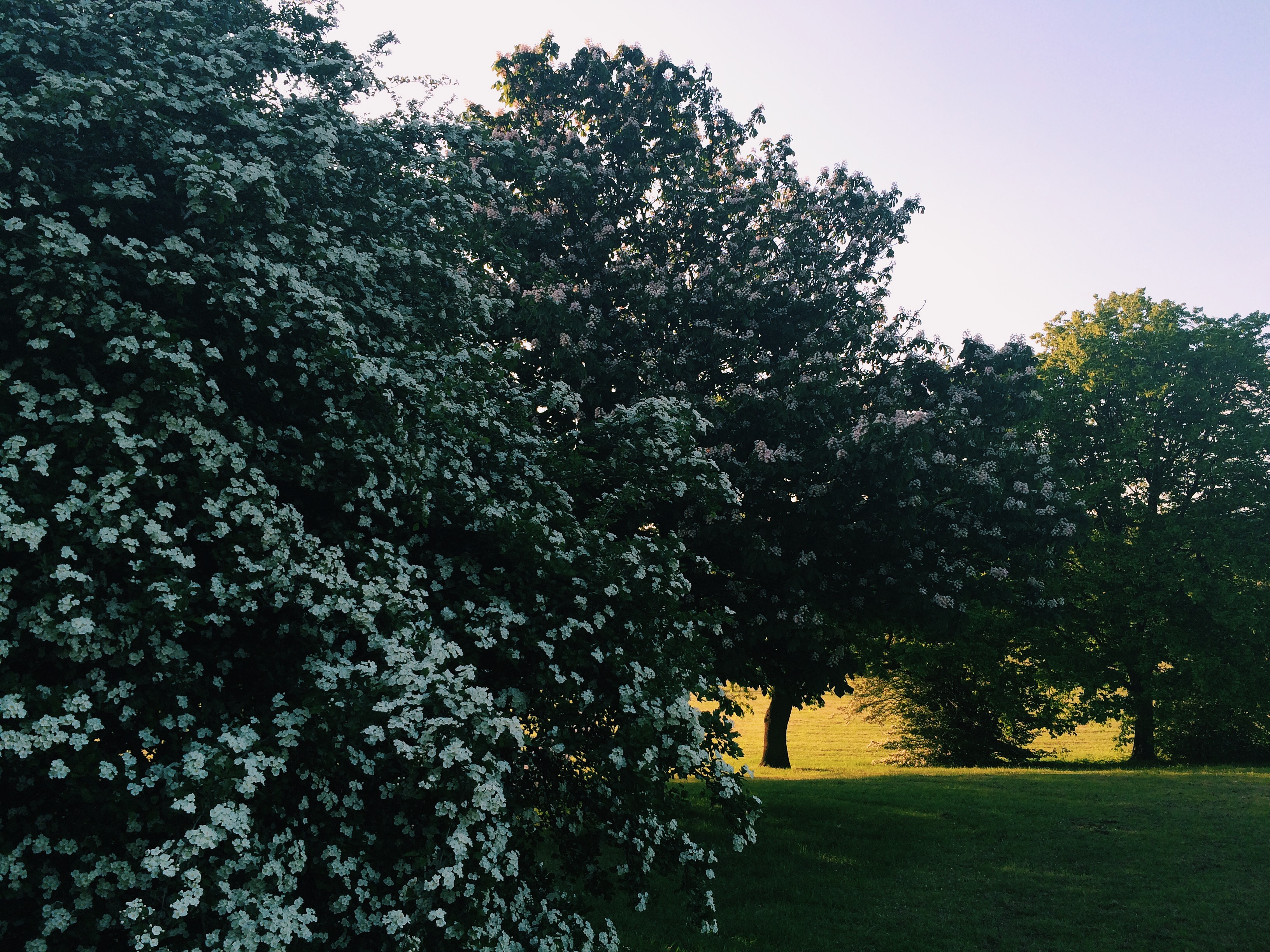 Processed with VSCO with c1 preset