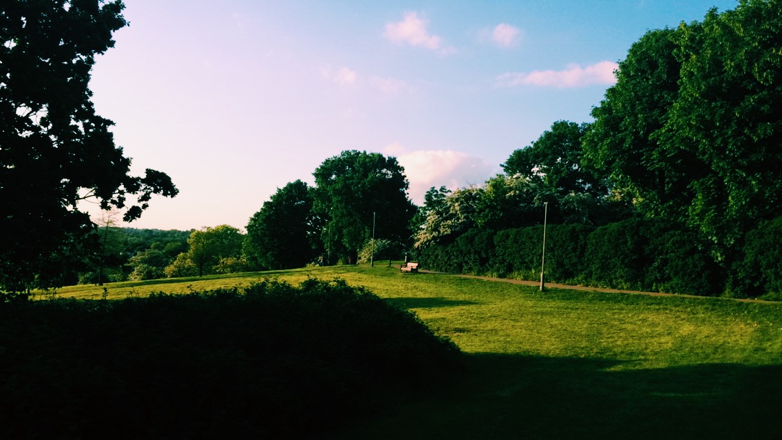 Processed with VSCO with c1 preset