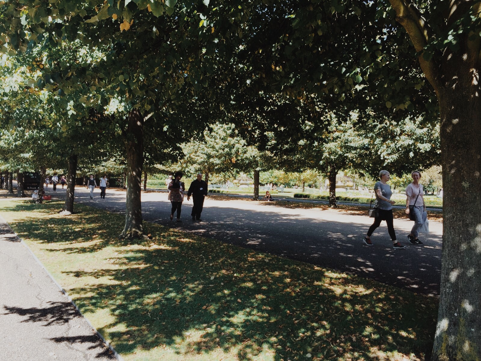 Processed with VSCO with m5 preset