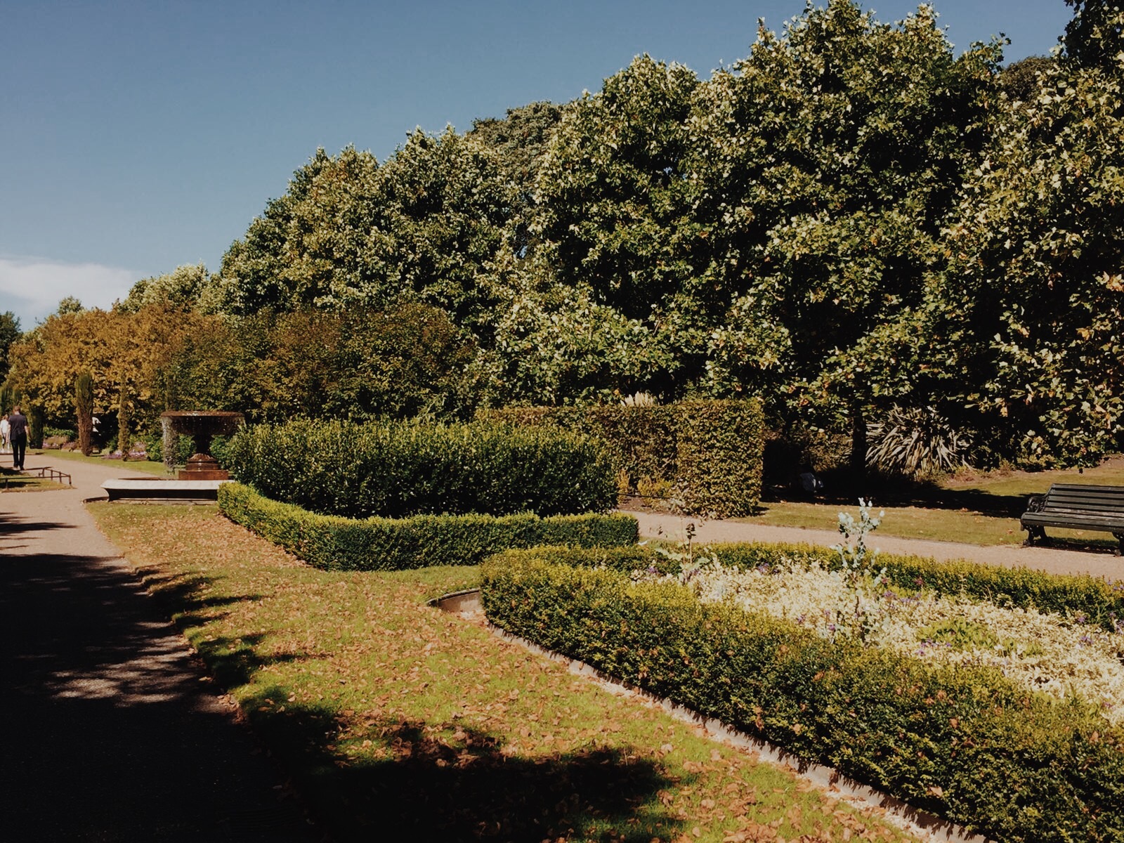 Processed with VSCO with m5 preset