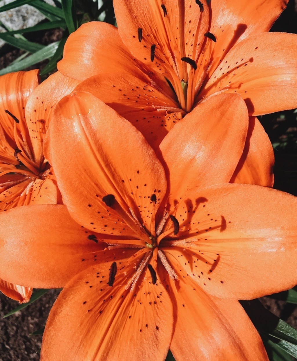 How I Manage&nbsp;Conflict