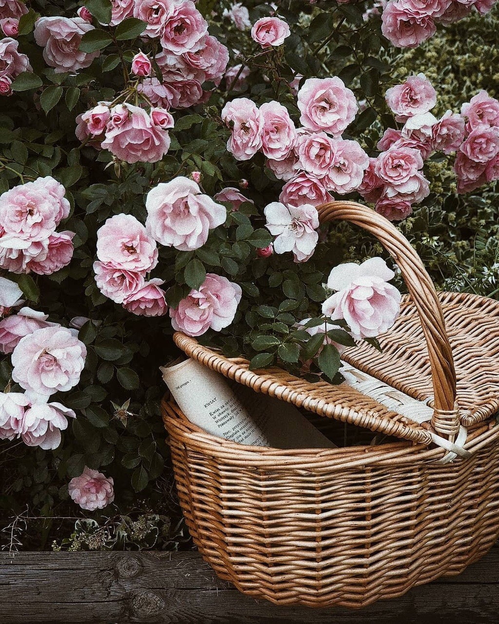 June 2019 Favourites