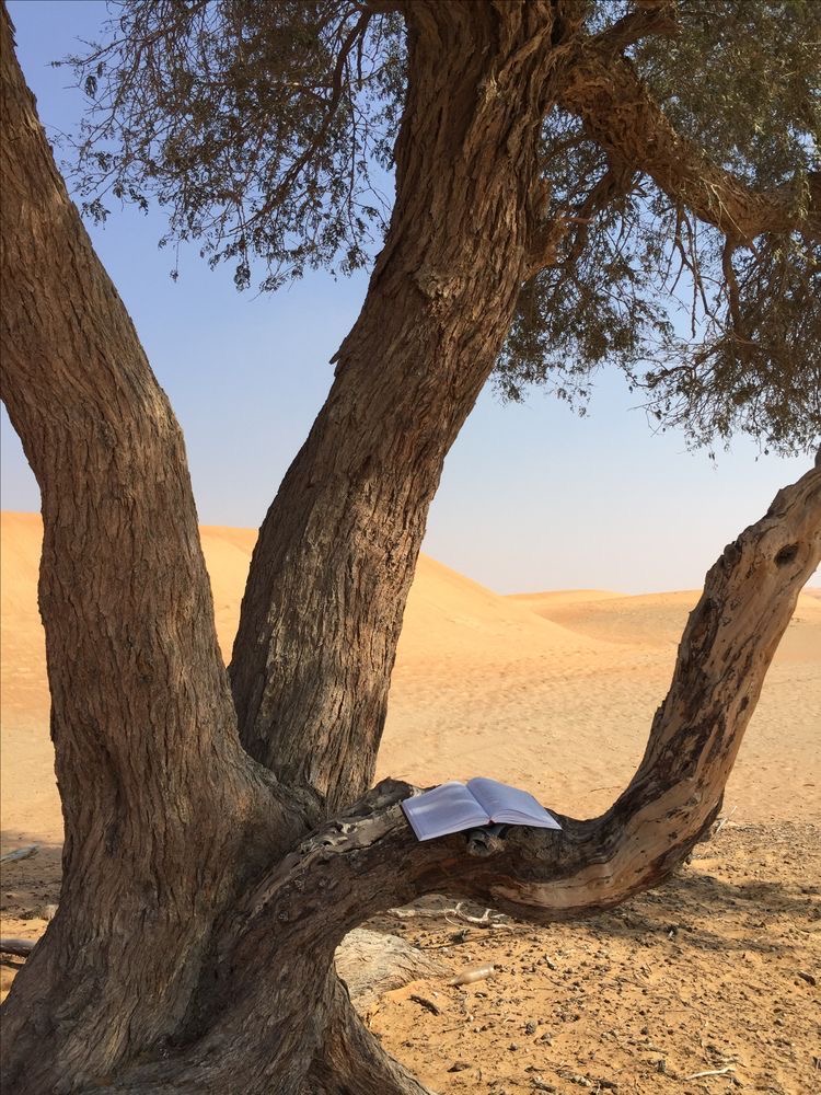 How to Build an Impressive Akhira CV